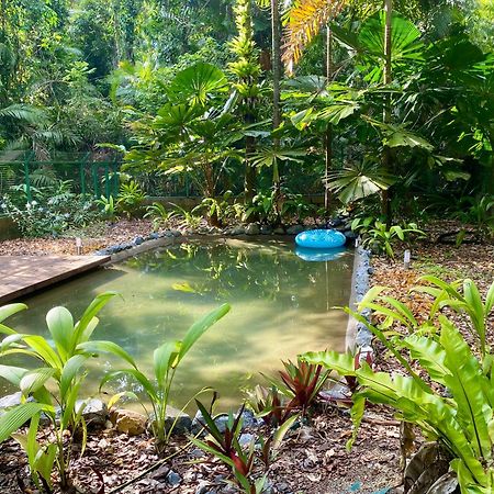 Daintree Siesta Villa Diwan Eksteriør billede