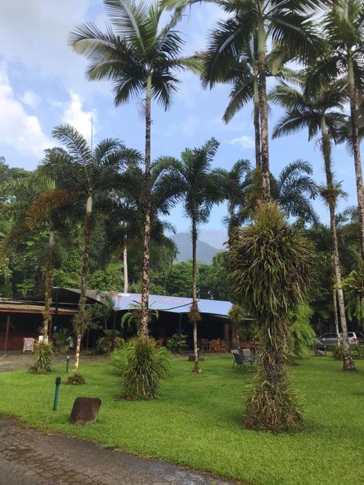 Daintree Siesta Villa Diwan Eksteriør billede