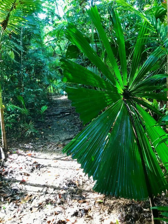 Daintree Siesta Villa Diwan Eksteriør billede
